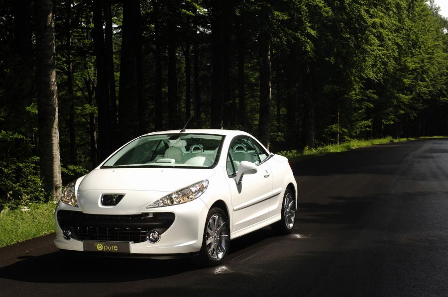  Peugeot 207 Epure 2006 года  (фото 21 из 23)